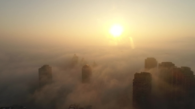 城市平流雾云层之上逆光