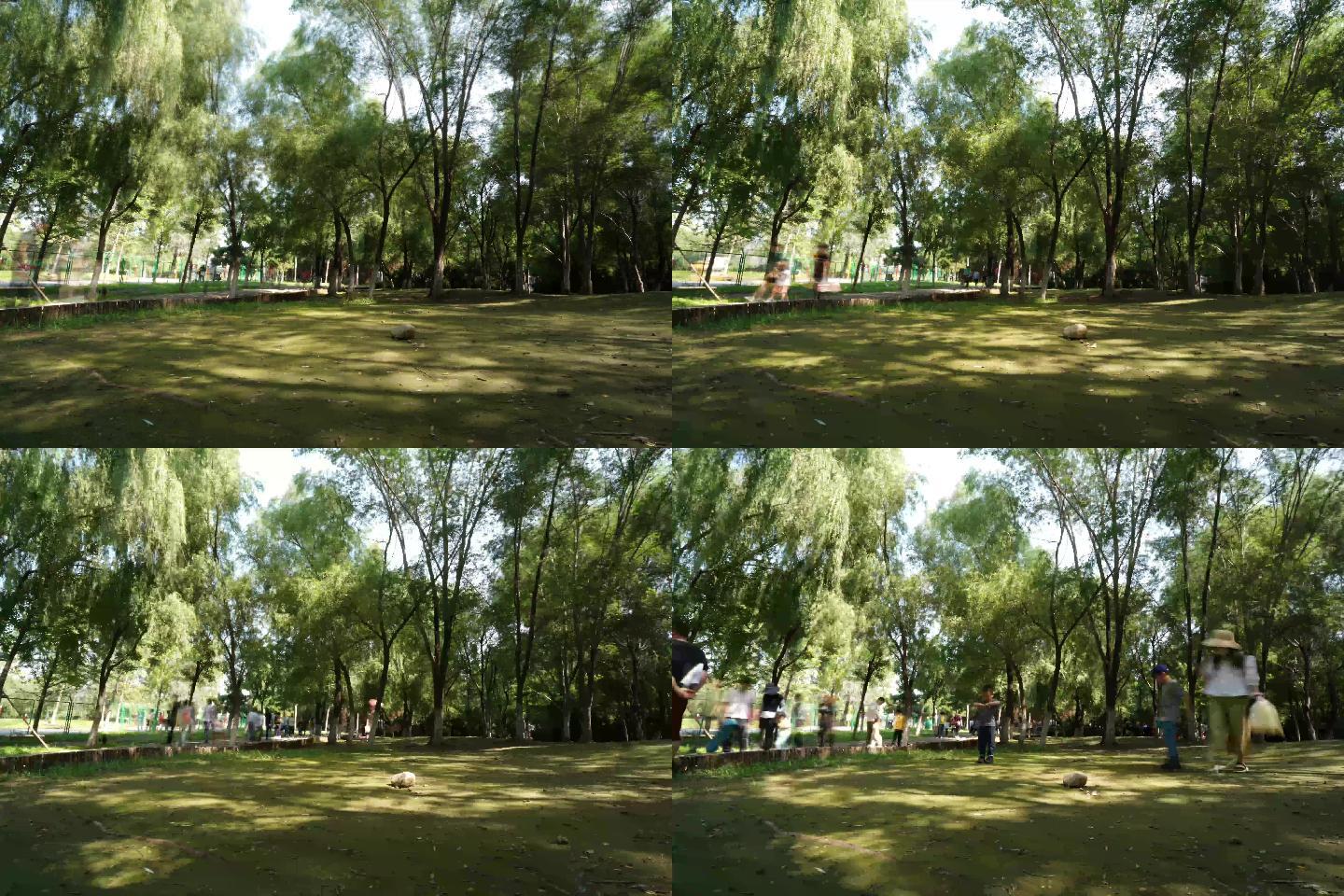 生态绿色树影延时公园跑步