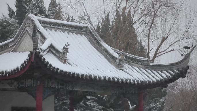 园林雪景2