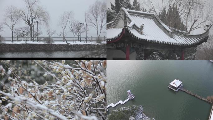 园林雪景2