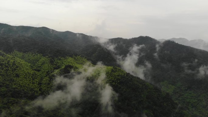 浙江杭州桐庐县芦茨湾航拍云雾