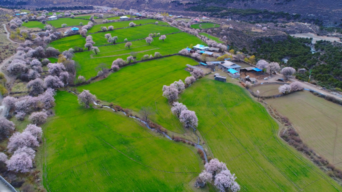 航拍西藏波密桃花沟（顶仲村神仙居所）