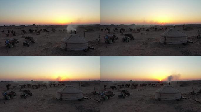 日出戈壁滩 天边骆驼 朝霞 清晨 黄昏