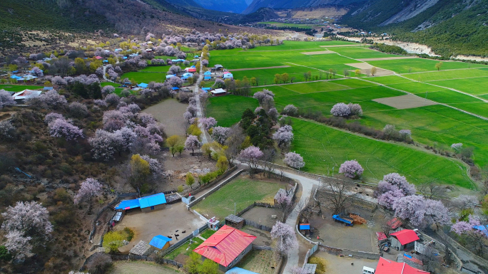 航拍西藏波密桃花沟（应冬村）