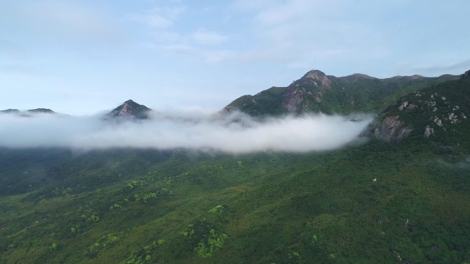 高山云雾