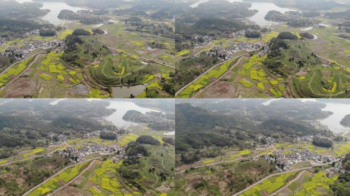 航拍盘旋浙江杭州建德新叶古村油菜花开