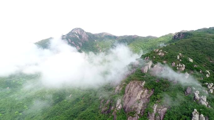 高山云雾