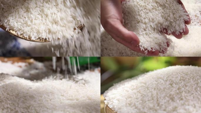 大米生米米粒米饭东北米糯米