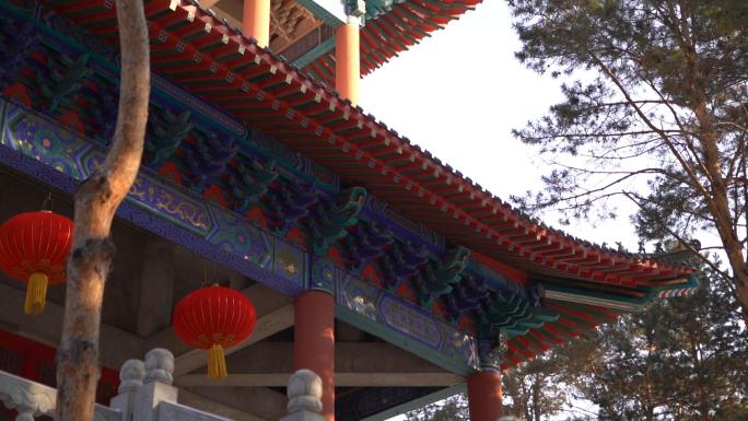 龙华寺冬季美景古风建筑古风建筑屋檐素材