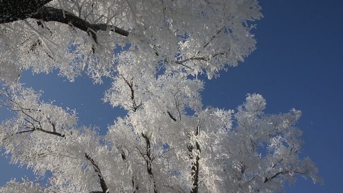 雾凇冰雪（未剪辑原始素材）