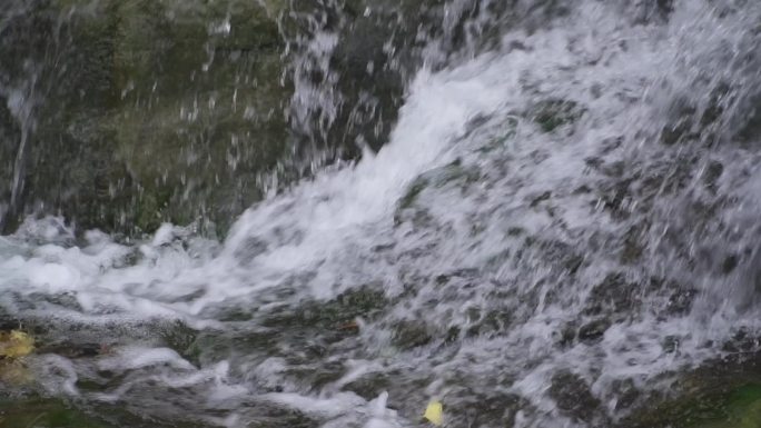 实拍山中清澈的溪水升格