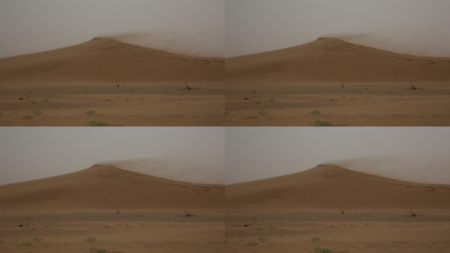 风沙沙尘暴实拍防沙治沙 环境治理抗旱