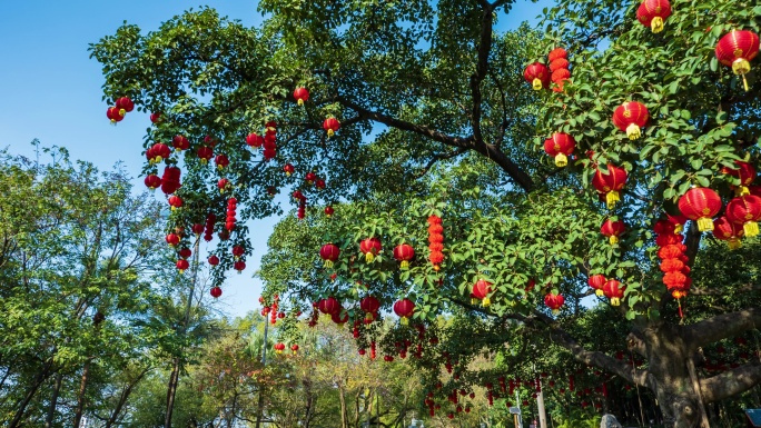 过年春节树上挂满灯笼许愿树