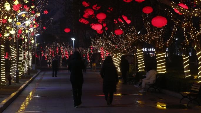 春节元宵节夜晚看花灯2