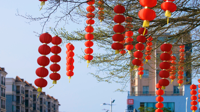 春节喜庆氛围大红灯笼高高挂4k视频素材