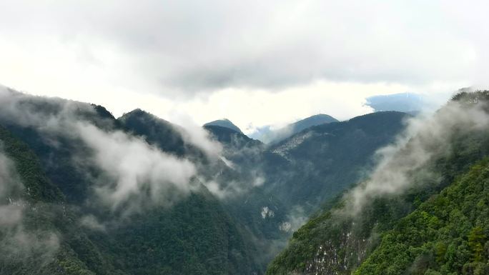 大山雾武陵山山雾缭绕云