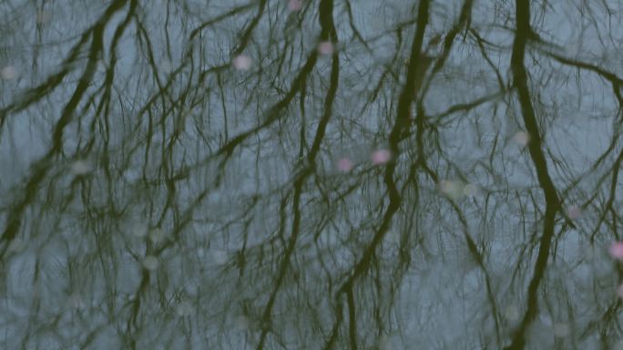 4K水面树影抽象波纹02
