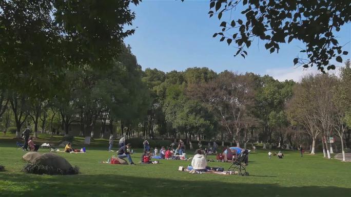 公园春暖花开人们游玩草地上的帐篷