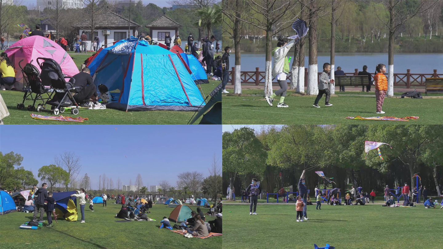 春天春游人们在户外公园游玩踏青视频素材