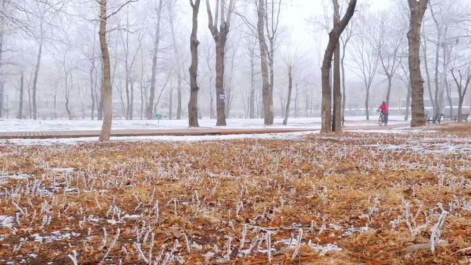 雪后公园公园锻炼雪挂雾淞