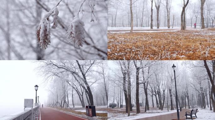 雪后公园公园锻炼雪挂雾淞