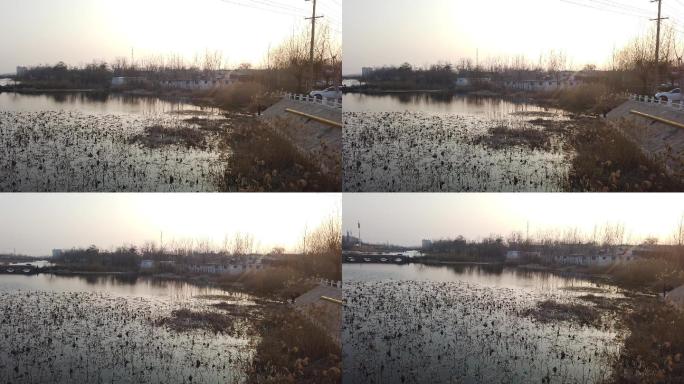 聊城国家级湿地公园东阿县官路沟河