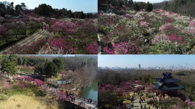 梅花山航拍