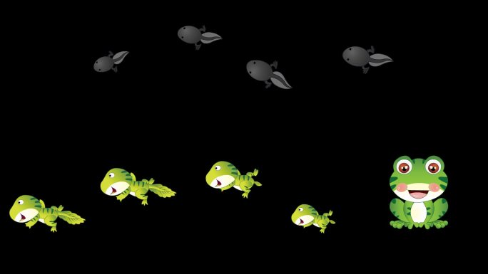 带通道小蝌蚪变青蛙过程