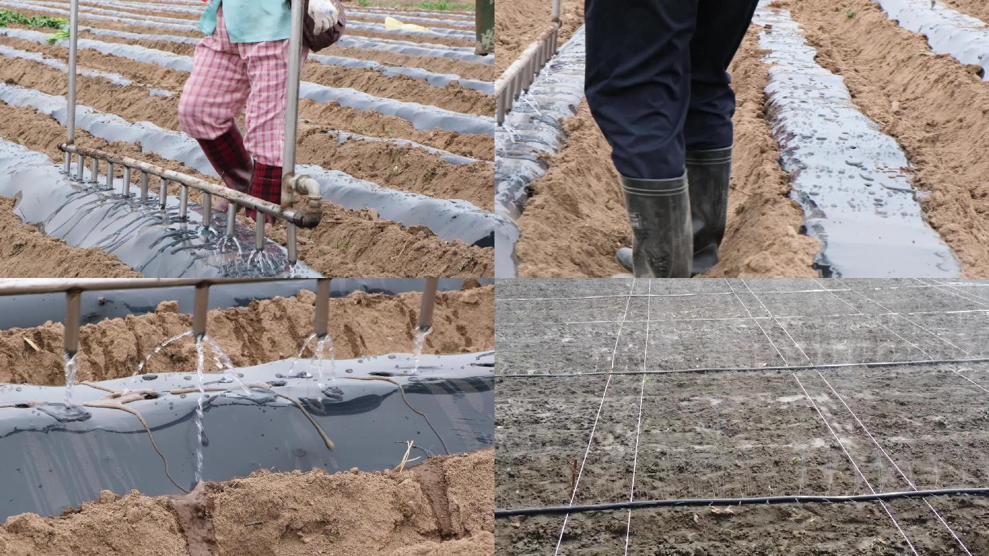 实拍升格航拍自动化农田灌溉浇水智慧农业