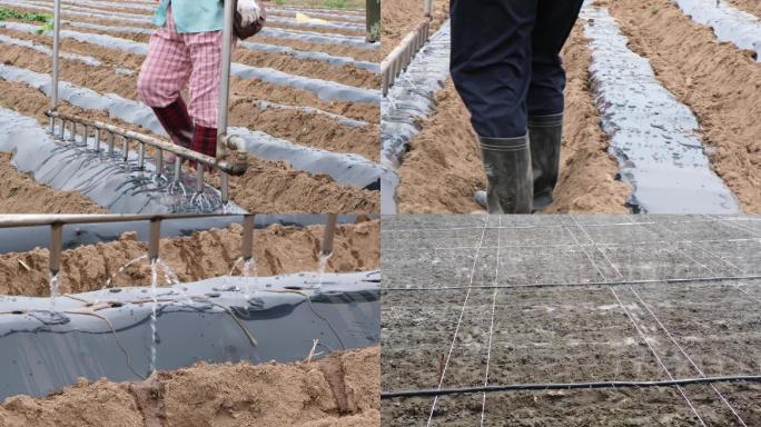 实拍升格航拍自动化农田灌溉浇水智慧农业