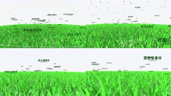 E3D草坪草地介绍