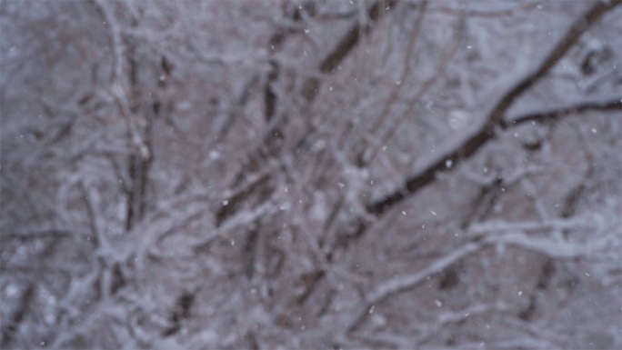 鹅毛大雪下大雪