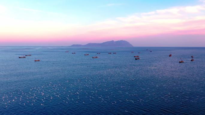 西海岸大海海鸥晚霞