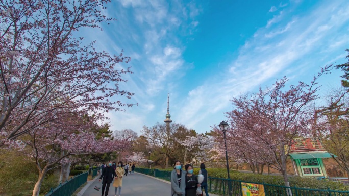 青岛中山公园春天的风景