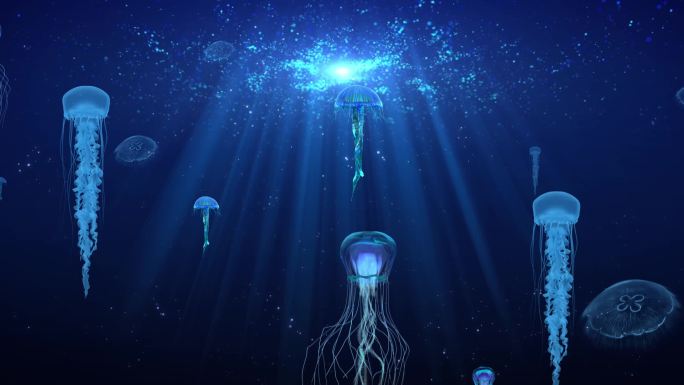 海洋水母LED大屏