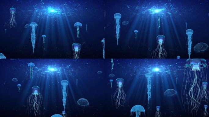 海洋水母LED大屏