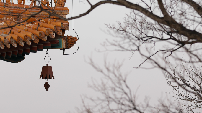 古风风铃 铃铛古建筑，冬天干树枝意境4k