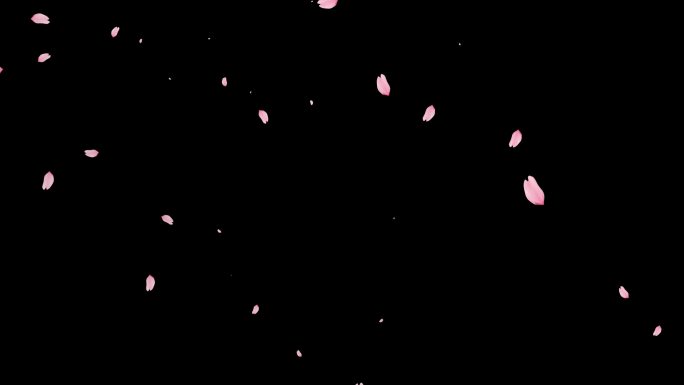 4K樱花花瓣（含ae工程文件）