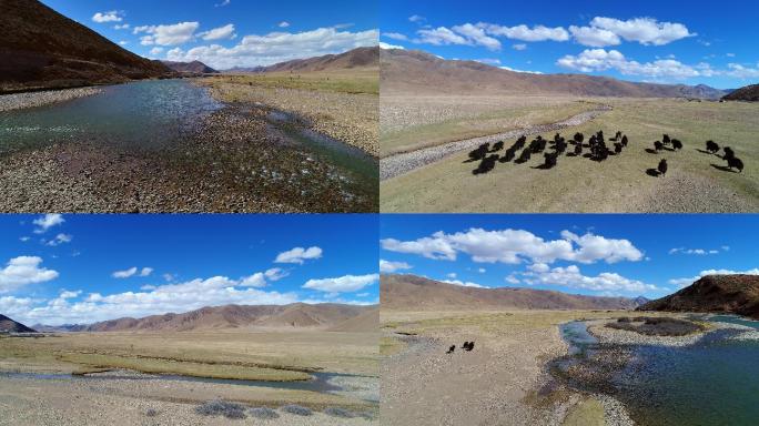航拍西藏邦达草原（2）