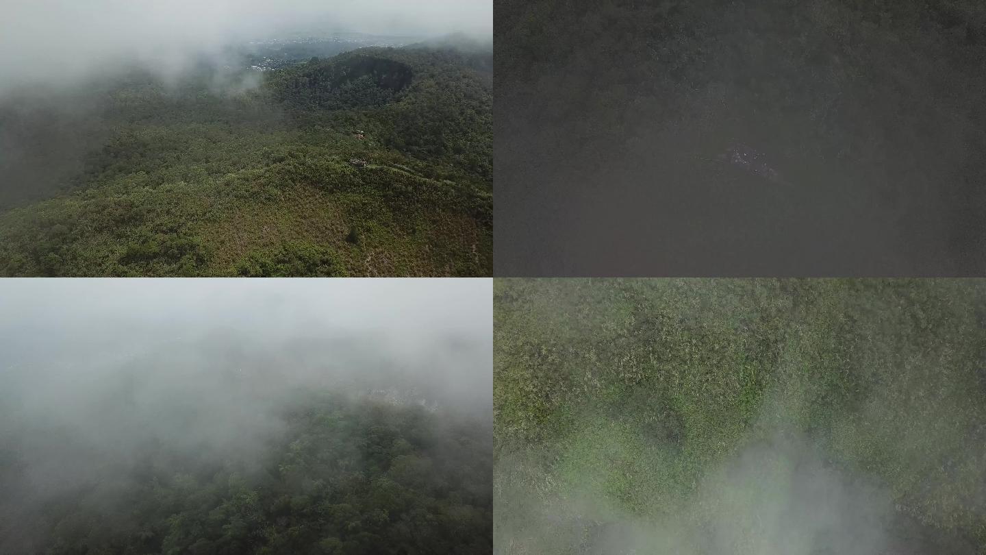 美娜多火山热带雨林丛林