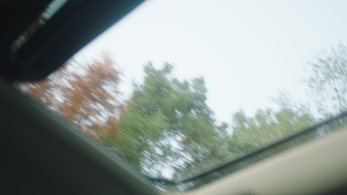 汽车行驶天窗外的风景