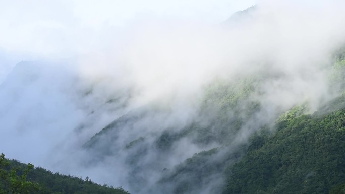 唯美意境山谷云雾缭绕山岚雾气