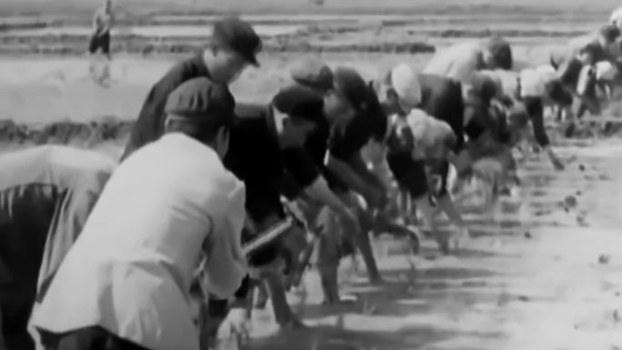 50-60年代劳动