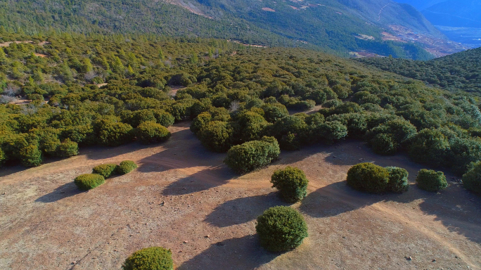 航拍西藏滇藏线红拉山214西景线美丽中国