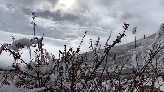 实拍雪景延时