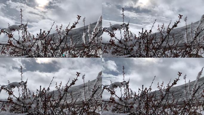 实拍雪景延时