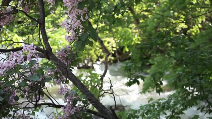 永芝村