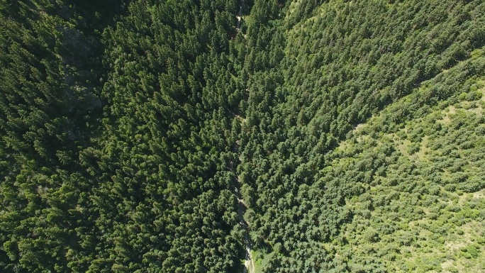 【4K可商用】航拍贺兰山森林公园