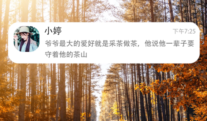 【2款样式】聊天弹窗PR模板