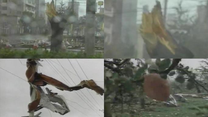 台风暴风雨海啸飓风自然灾害登陆